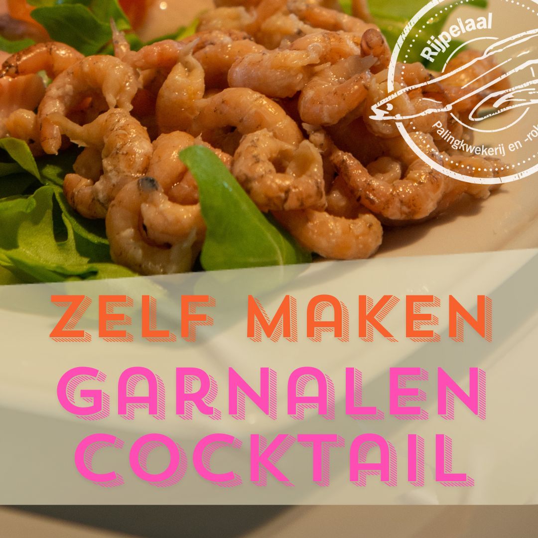 Garnalen cocktail